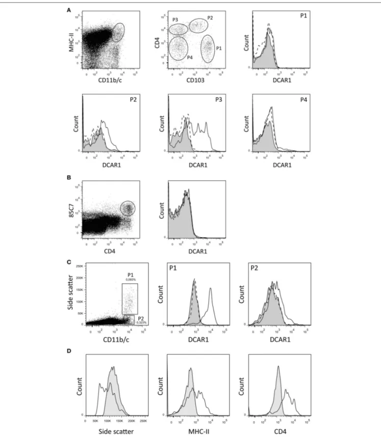 FIGURE 2 | Flow cytometry analysis of splenic dendritic cells and mesenteric lymph node leukocytes