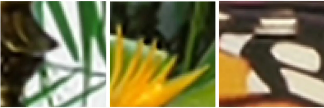 Figure 3.1 – Results generated using Dong et al.’s code [7]. There are some ringing noise around edges in the three images.