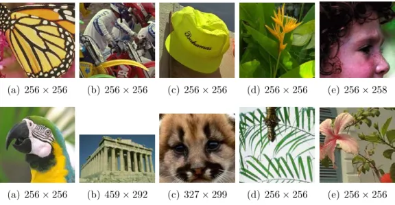 Figure 3.3 – Test images: Butterfly, Bike, Hat, Plants, Girl, Parrot, Parthenon, Raccoon, Leaves, Flower.