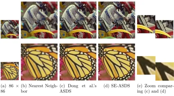 Figure 3.5 – Comparison of super-resolution results (×3). (a) LR image;(b) Nearest-neighbor; (c) Dong et al.’s ASDS results: images are still blurry and edges are not sharp
