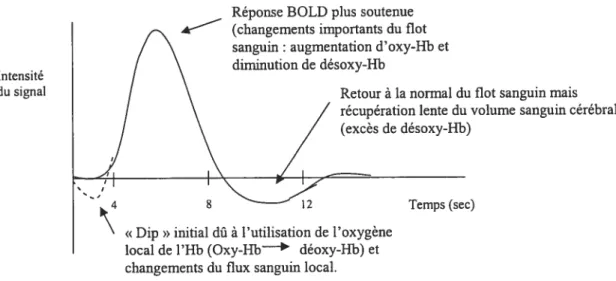Figure 2. Enregistrement du signal BOLD dans le temps, suite à la présentation d’un bref stimuli