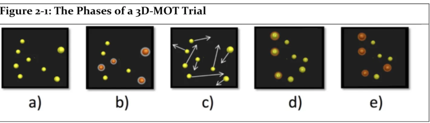 Figure 2-1: The Phases of a 3D-MOT Trial 