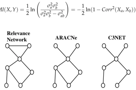 Figure 1.1: Example of influence networks predicted by Relevance Networks, ARACNe and C3NET