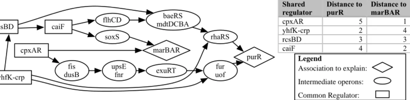Figure 3.5: Shared regulations for operons purR and marBAR in E. coli. In this exam- exam-ple, there are four regulators (marked with rectangles) which can control both target operons (marked with diamonds) at minimal cost