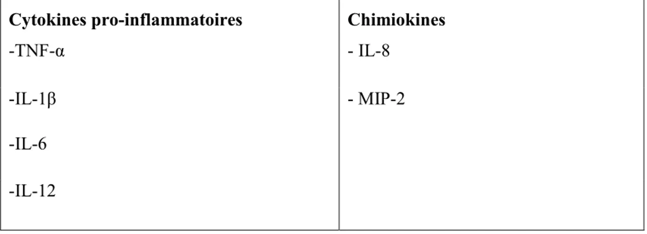 Tableau I. Cytokines produites par les neutrophiles humains et équins, d’après  Cassatella  (1999);  Driscoll  (1994);  Joubert, Silversides, &amp; Lavoie  (2001);  Nerren,  Payne, Halbert, Martens, &amp; Cohen (2009)