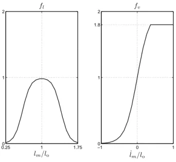 Figure 3: Active force: The force-length and force-velocity relationships.
