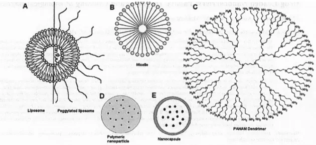Figure 1.5 Different Types of NCs (A) Micelles, (B) Liposomes, (C) Dendrimers, Poymeric  nanoparticles and Nanocapsules With a permission from (8)
