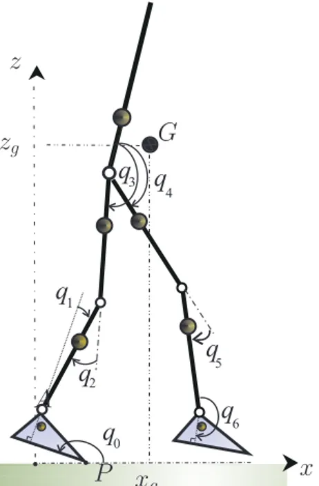 Fig. 1. The studied biped: generalized coordinates