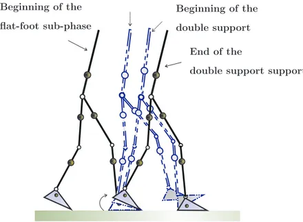 Fig. 2. Decomposition of gait 6. In single support, at the transition between the two sub-phases, the stance foot of the robot is flat on the ground