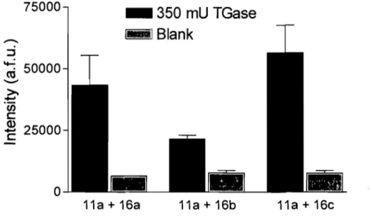 Figure  2.2:  Comparison  of assay  sensitivity  using  acyl  acceptor  substrates  16a-c,  which  differ by their spacer