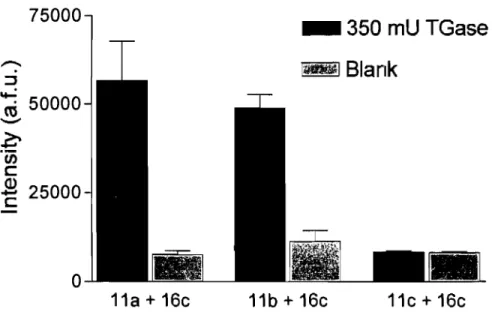 Figure  2.3:  Assay  sensitivity  with  acyl  donor  lla-c  and  acyl  acceptor  substrate  16c  