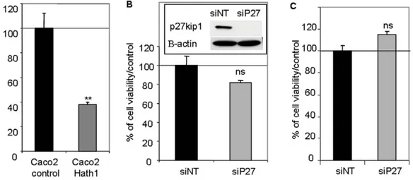 Figure 5. Effect of Hath1 ectopic expression and P27Kip1 silencing on anchorage-independent cell growth of Caco2 cells