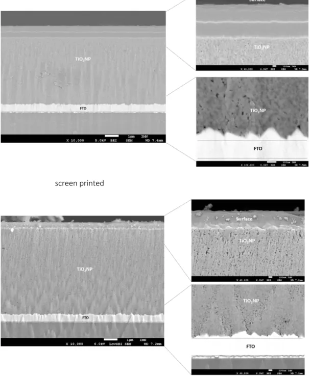 Figure 3 shows the cross-sectional images of the electrodes prepared by polishing with an Ar-ion beam,  with  a  magnification  of  the  top  and  the  bottom  part  of  the  layer