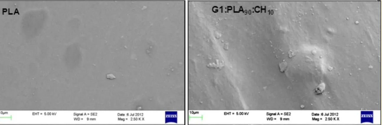 Figure 35: Clichés MEB montrant l'aspect de surface des films de PLA seul et du PLA avec 10% de  chitosane (G1:PLA 90  :CH 10 ) [62] 