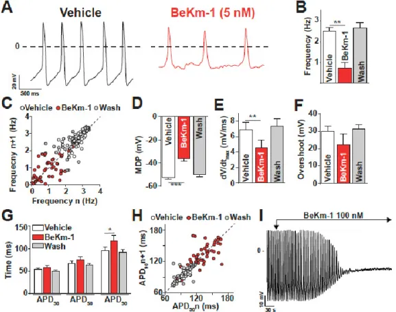 Figure 2. BeKm-1 alters spontaneous AP shape and frequency in human-induced pluripotent stem  cell (hiPS-CMs)