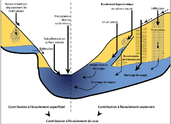 Figure 6 : Les principaux processus de surface et souterrains à l’origine de la genèse des crues (Maréchal, 2011,  d’après Ambroise, 1998)