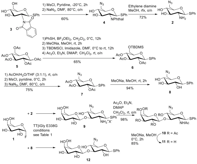 Table 1. Enzymatic glycosylation reaction a