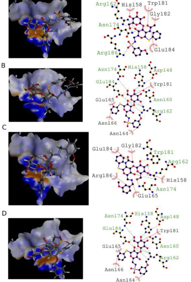 Figure 1.  Molecular docking of selected compounds with the galectin-3. Overview of one representative binding pose after docking for 22 (A), 23 (B),  24 (C) and 32 (D)