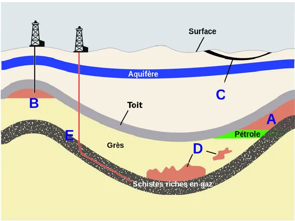 Figure I.1: les différents types de source géologique du gaz naturel[8] 