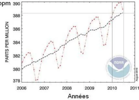 Figure ІІ .2: Moyenne mensuelles globales du CO 2 