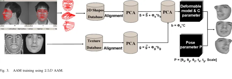 Fig. 3. AAM training using 2.5D AAM.