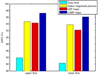 Fig. 7. Results on the Cohn-Kanade database, using different methods to divide the image in blocks.