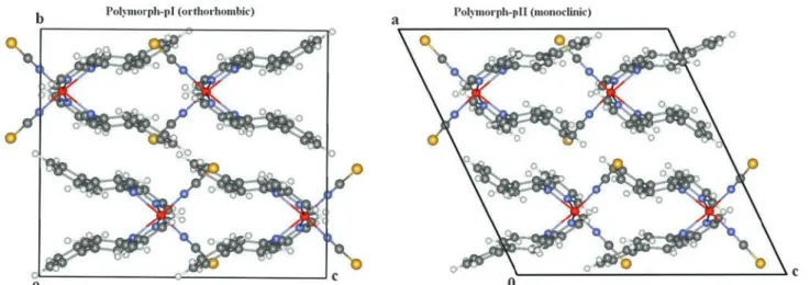 Fig. 5 View of the molecular packing of the complex [Fe(PM-BiA) 2 (NCS) 2 ] for the polymorphs pI and pII in the HS form at ambient pressure and temperature (crystallographic data from ref