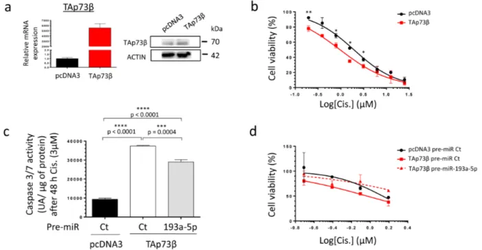 Figure 5: The TAp73β-mediated Cisplatin induced cell death is opposed by the miR-193a-5p in human Bone Sarcoma  cells