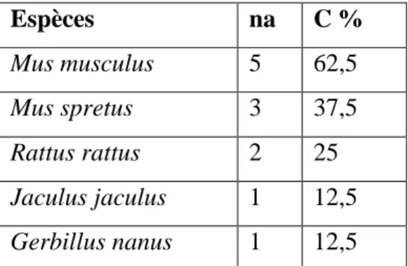 Tableau 9-Indice d'occurrence des espèces en fonctions des mois de la station Robbah. 