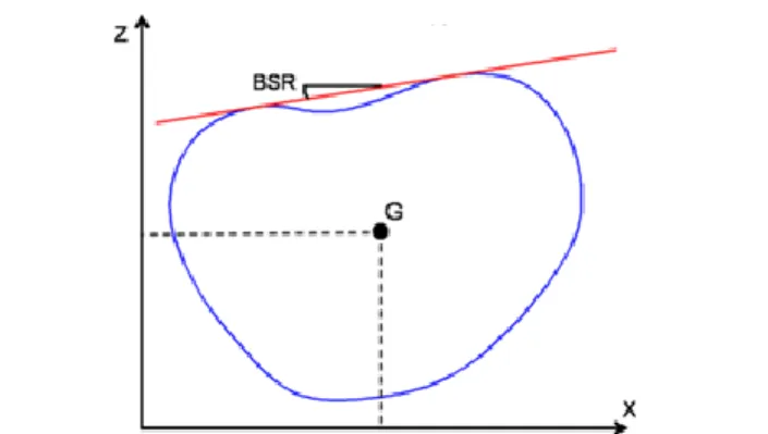 Fig. 2.  Trunk cross-sectional measurements: bottom view of a typical trunk  cross-section (in blue)