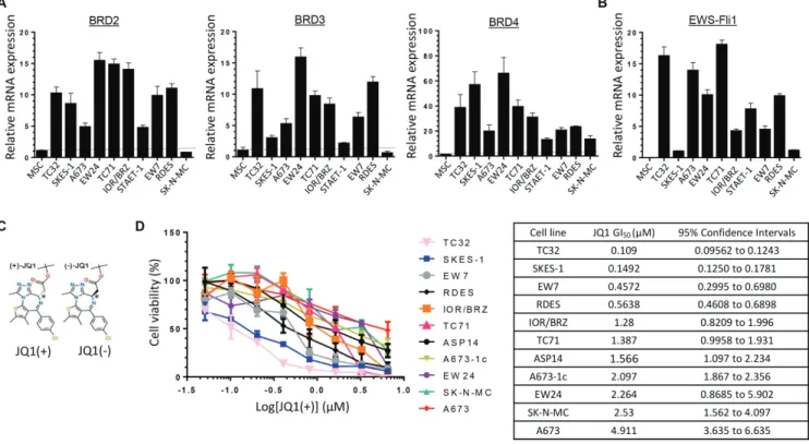 Figure 1: ewing sarcoma cell lines overexpress brd2, brd3, brd4 and eWs-Fli1 at mrnAs level and are sensitive  to bet proteins inhibition