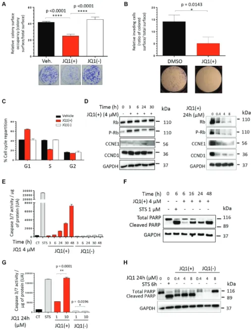 Figure 2: JQ1 inhibits the clonogenicity, the migratory potential and induces both a G1-phase cell cycle arrest and  the apoptosis of human ewing sarcoma cell lines