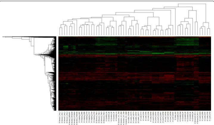Figure 2 Heatmap representation of copy number variation between chickens. Unsupervised clustering of CNVs with gains (green) and losses (red) yields a dendrogram that recapitulates features of the known genealogy of these animals within a line or breed.