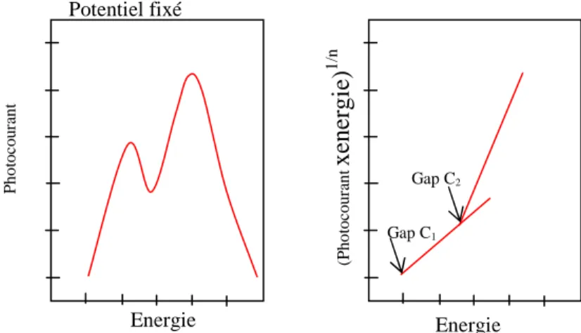 Figure  28 :  Allures typiques  de  photocaractéristiques  en  énergie  permettant  d’identifier la  nature  des semi- semi-conducteurs présents à partir de leur gap [71]