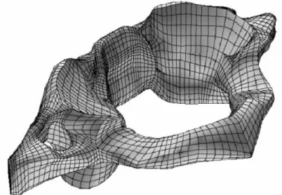 Figure 1-9. Maillage de la première cervicale humaine (bassin) réalisé par Teo et Ng [Teo  2001] à l’aide d’un palpeur mécanique monté sur un bras articulé