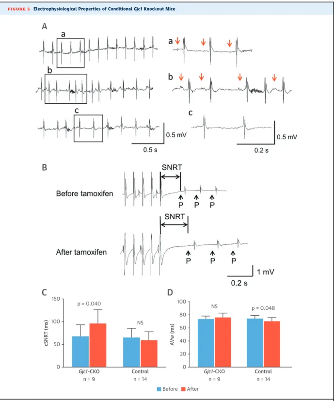 FIGURE 5 Electrophysiological Properties of Conditional Gjc1 Knockout Mice 150 Gjc1-CKO Control n = 9 p = 0.040 n = 14 Before After100NS500cSNRT (ms)ABC100 Gjc1-CKO Controln = 9NS p = 0.048n = 14806040200AVw (ms)D