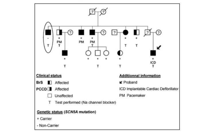 FiGURe 2 | The complex inheritance pattern of BrS. Modified from Ref. (41). Incomplete penetrance of the SCN5A mutation is illustrated by the presence of  unaffected carriers of the mutation ( + )