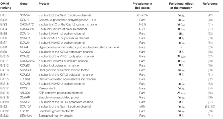 TABLe 1 | The 23 reported susceptibility genes for BrS.