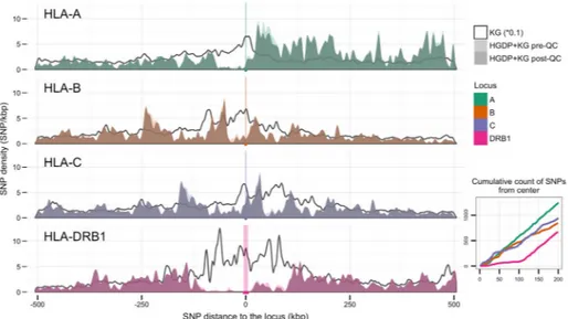 Figure 6. SNP Proximity and Density for the HLA-A, -B, -C and DRB1 Loci