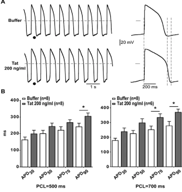 Figure 7: Tat significantly increases ventricular-like action potential durations in hiPS- hiPS-CMs