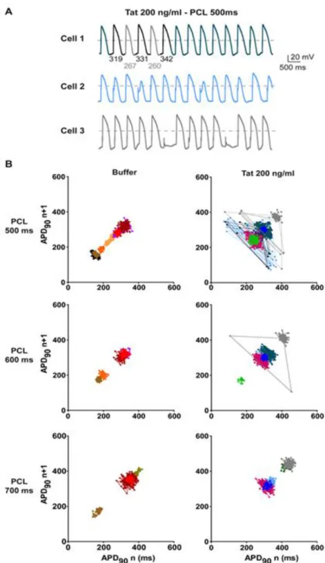 Figure  8:  Tat  incubation  leads  to  alternans  events  in  ventricular-like  hiPS-CMs