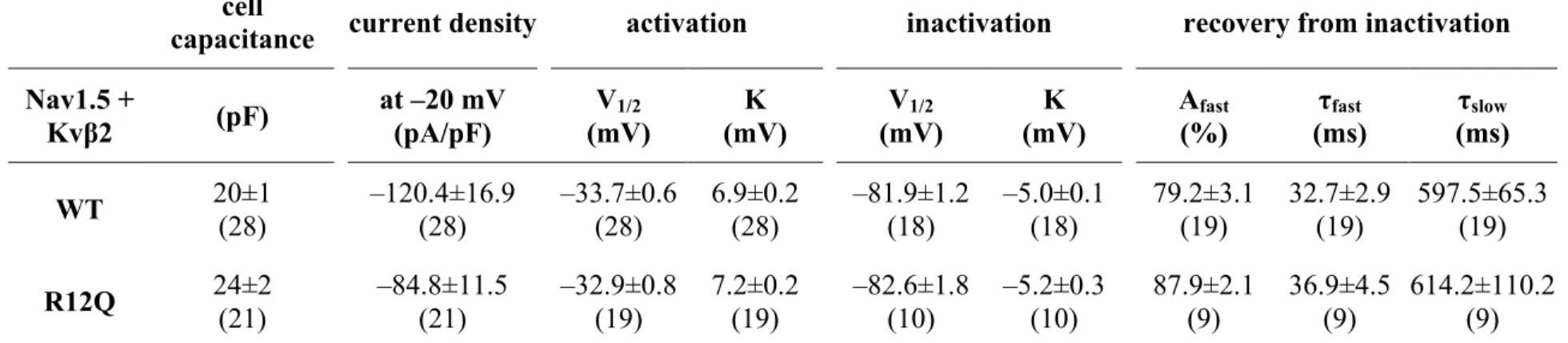 Table S4. Absence of effects of R12Q mutation of Kvβ2 on sodium channel biophysical parameters