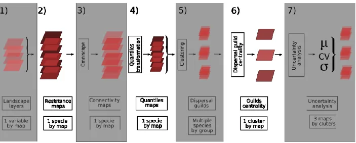 Figure 4. –   Representation of the overall method flow. 1- For each species (93), each landscape layers features  got resistance scores between 0 and 100