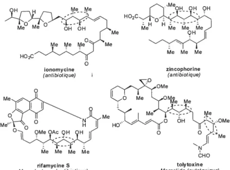 Figure 4. Exemples de molécules biologiquement actives