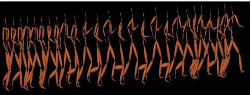 Figure 2-4 Transitions between different motions are achieved by linear interpolation   (Wang, Fleet, &amp; Hertzmann, 2007) 