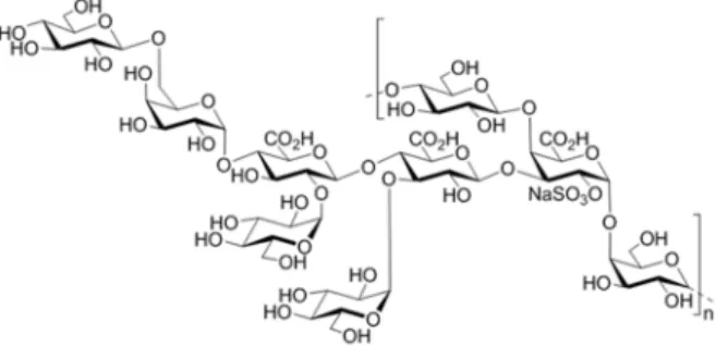 Figure 1. Structure of the monosulphated nonasaccharide repeating unit of the GY785 EPS