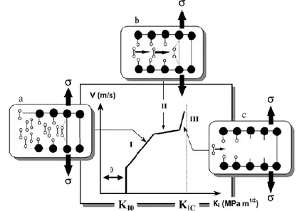 Figure  1.15:  Diagramme  V-K I :  relation  entre  la  vitesse  de  propagation  d’une  fissure  et  le  facteur d’intensité de contrainte (De Aza et al., 2002)