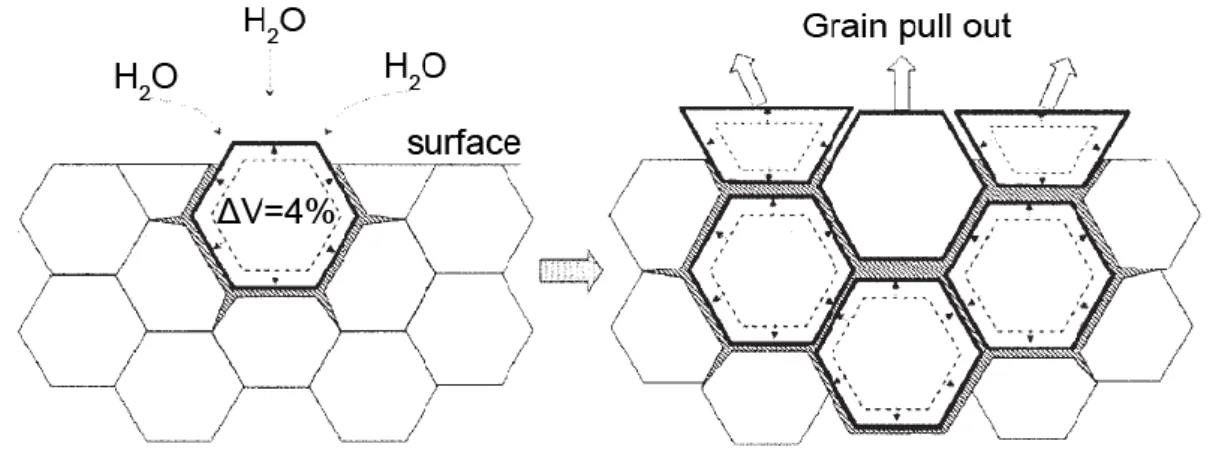 Figure  1.23:  Phénomènes  associés  à  la  transformation  de  phase  de  la  zircone  en  surface  (Deville et al., 2005a)