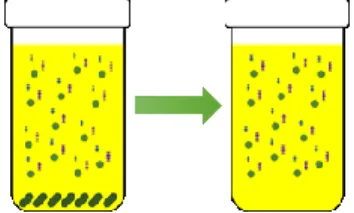 Figure 4. Schéma général du protocole de production, d’isolement et de purification des  VEMB  