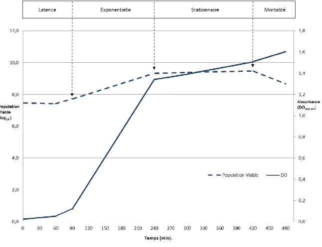 Figure 6. Courbe de croissance de Salmonella Enteritidis (SE) SHY-O4-1540 en  conditions de croissance normales, dans le milieu TSB